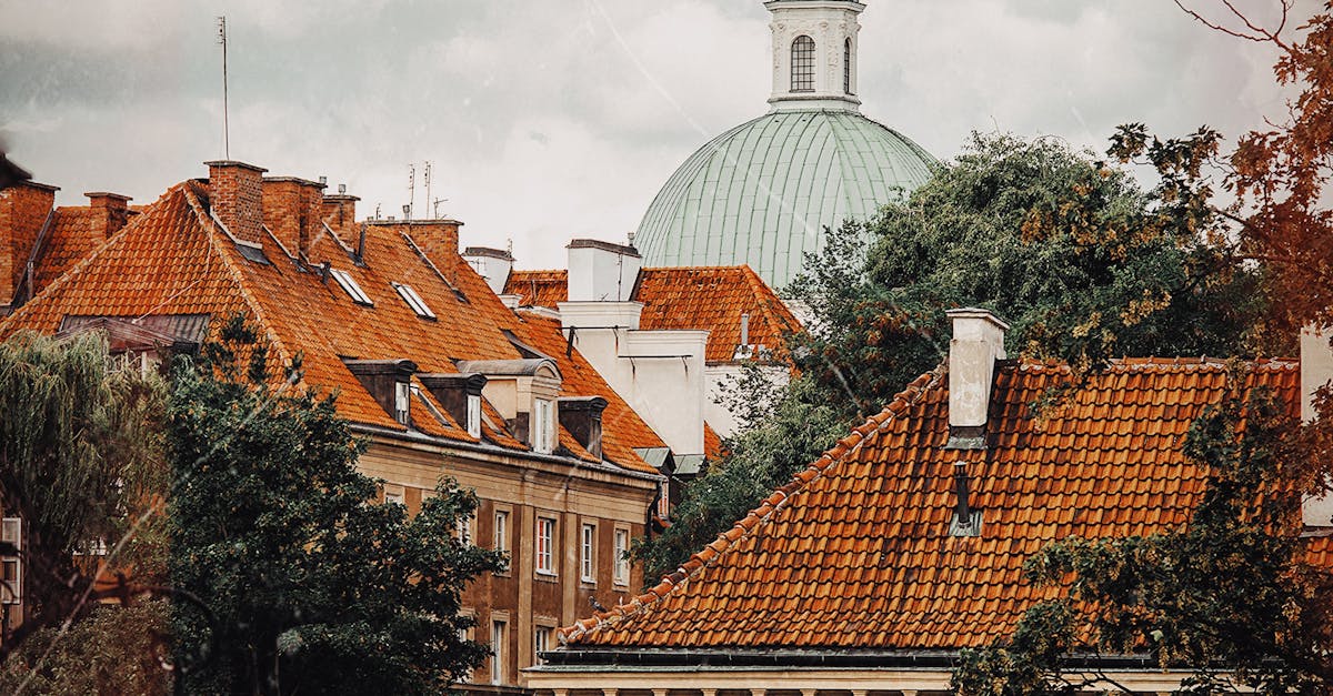 Cost-Effective Green Roof Solutions for UK Properties